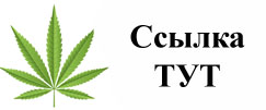 Купить наркотики в Полысаево